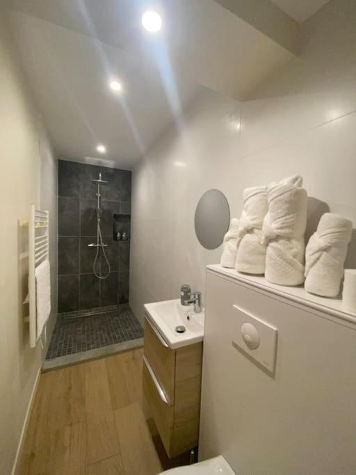 Appartement T2 Spacieux Et Equipe Mions Zewnętrze zdjęcie